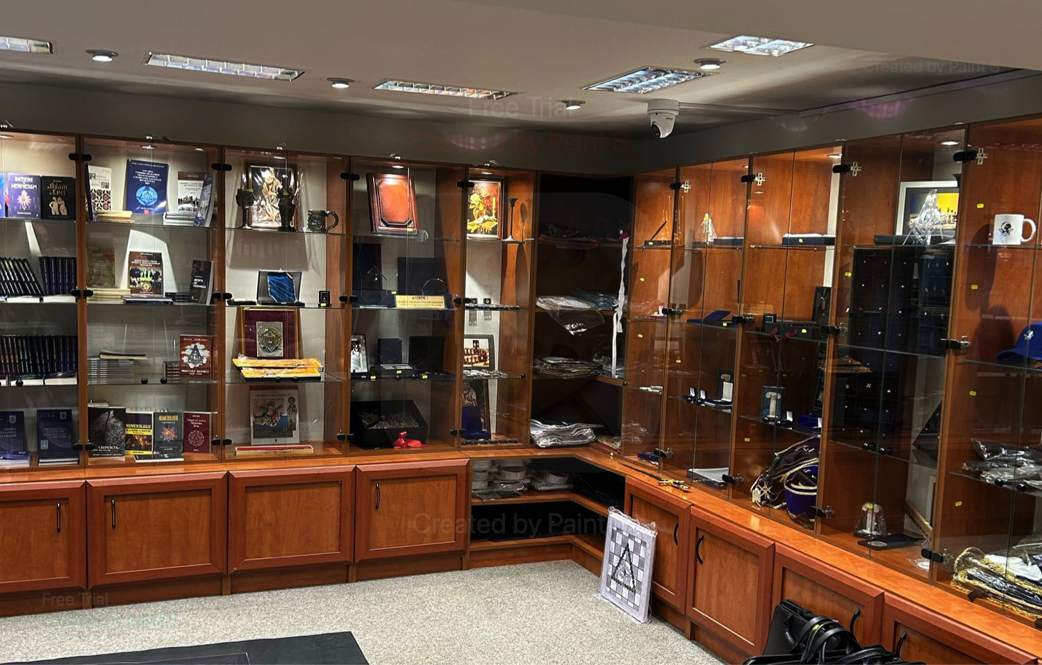 Galerie imagini